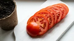 Tomatensamen aus Supermarkt-Tomaten ziehen: so klappt die Anzucht wirklich